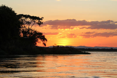 The Thrill of Tiger Fishing on the Mighty Zambezi