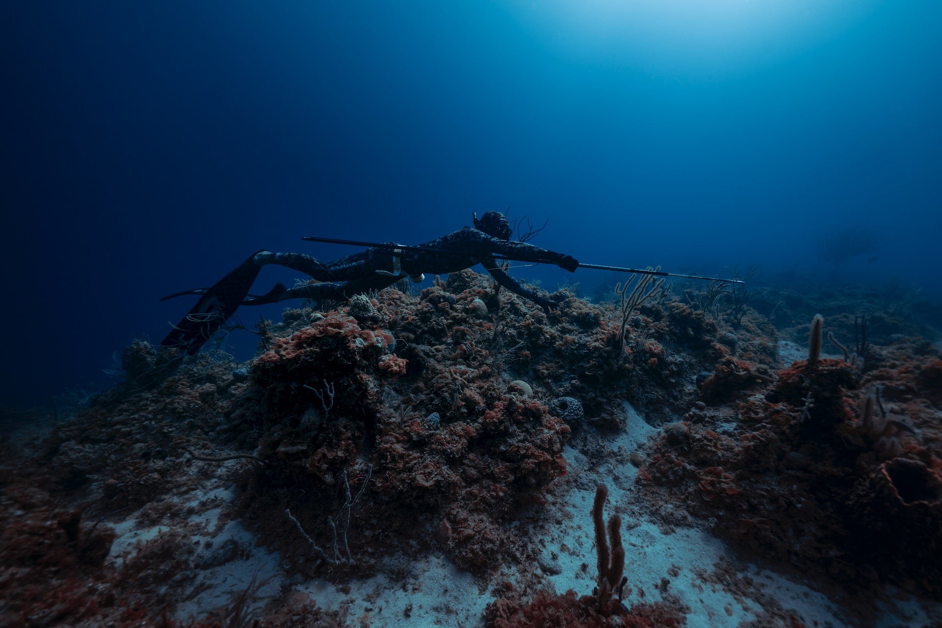 Spearfishing Nova Scotia